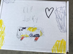 Loss of Pet: Tips to handle the loss with a child