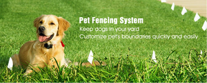 4 Reasons to LOVE Wireless Fences for your Pets