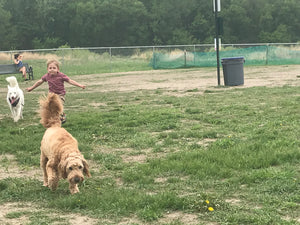 Dog Parks: Good for your dog and your family!