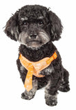 Pet Life ® 'Bonatied' Mesh Reversible And Breathable Adjustable Dog Harness W/ Designer Neck Tie
