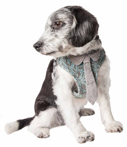 Pet Life ?? 'Fidomite' Mesh Reversible And Breathable Adjustable Dog Harness W/ Designer Neck Tie - Yip & Purr?? Official Website