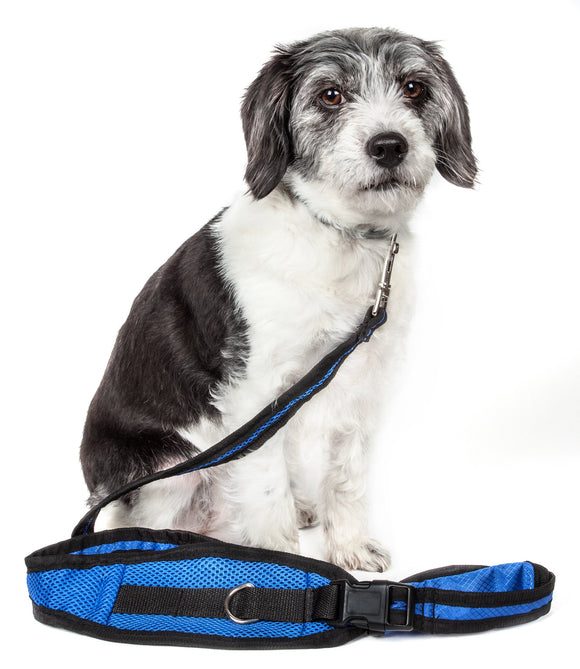 Pet Life Echelon Hands Free And Convertible 2-In-1 Training Dog Leash And Pet Belt With Pouch
