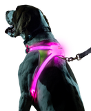 LightHound Dog Vest - Yip & Purr® Official Website